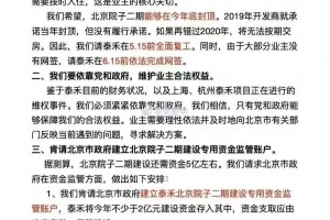 2020年令泰禾头疼的工作的确太多了。