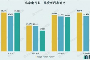 股价腰斩的小家电股被打回原形